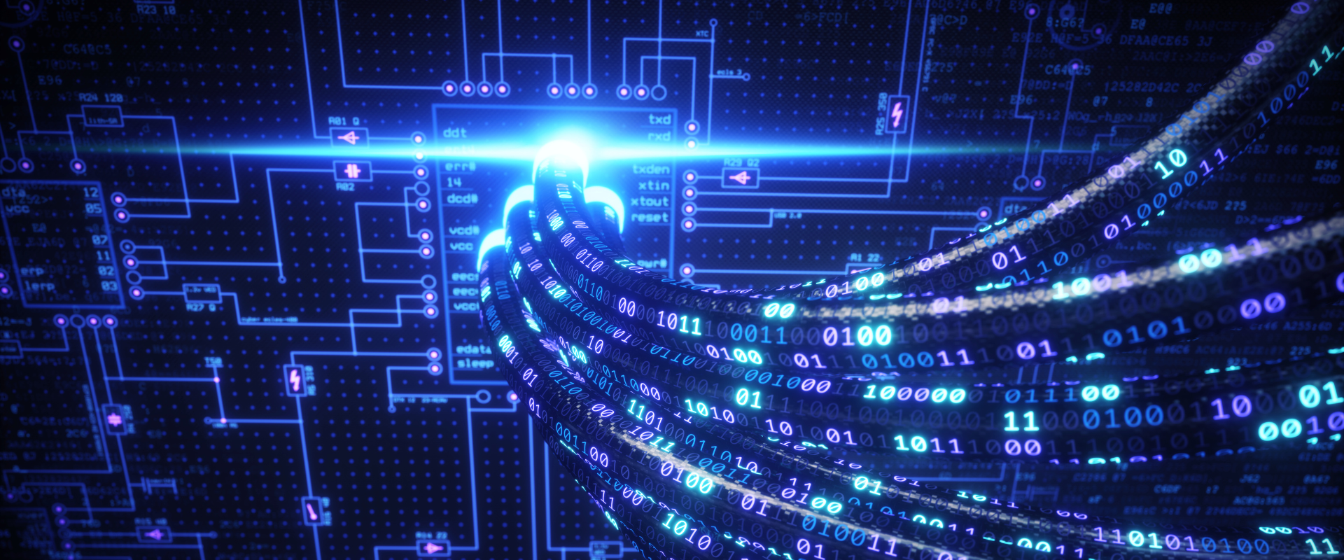 DukeSys technology environment